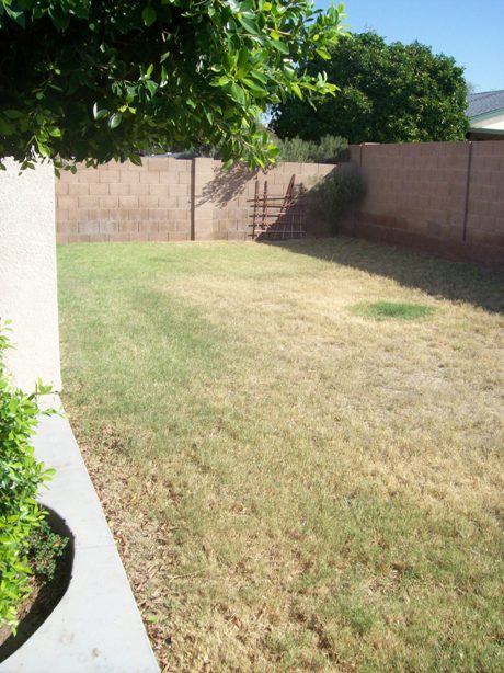 yard